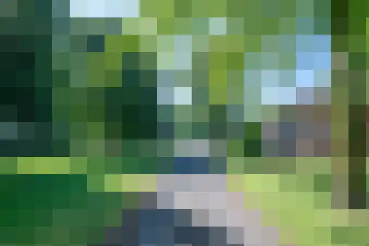 Vinkenweg 6 Deurne thumbnail 11