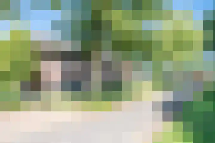 Vinkenweg 6 Deurne thumbnail 12