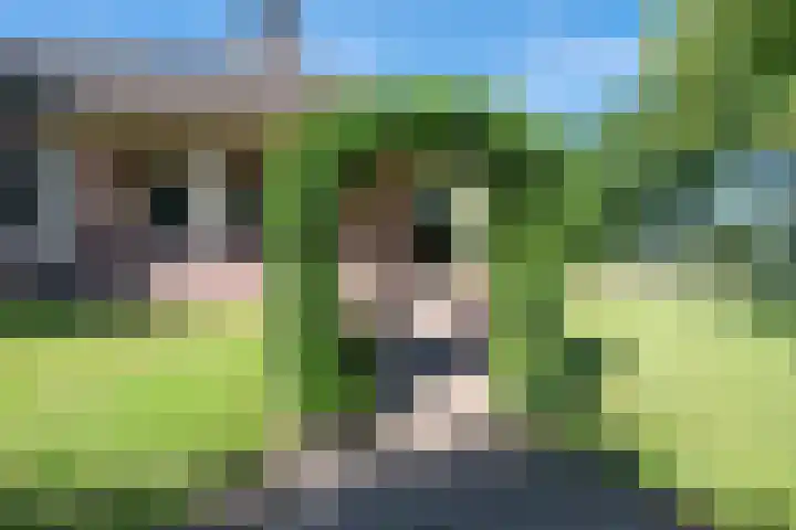 Vinkenweg 6 Deurne thumbnail 13