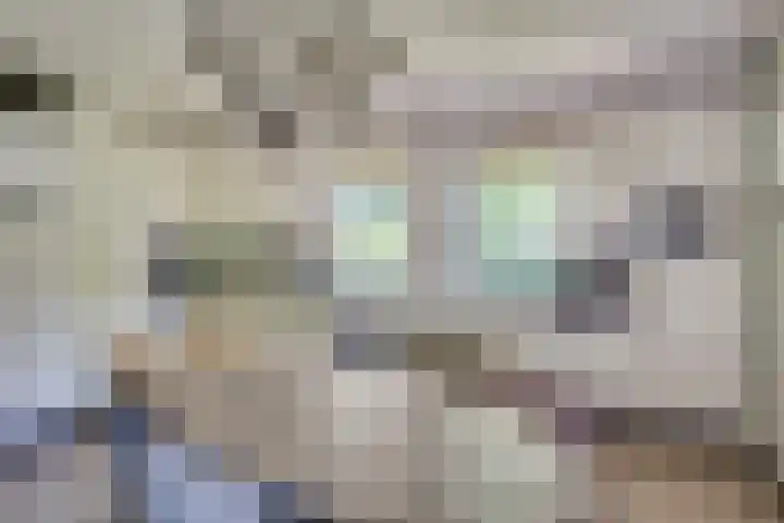 Vinkenweg 6 Deurne thumbnail 20