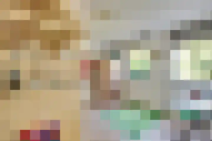 Vinkenweg 6 Deurne thumbnail 26
