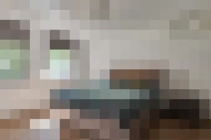 Vinkenweg 6 Deurne thumbnail 30
