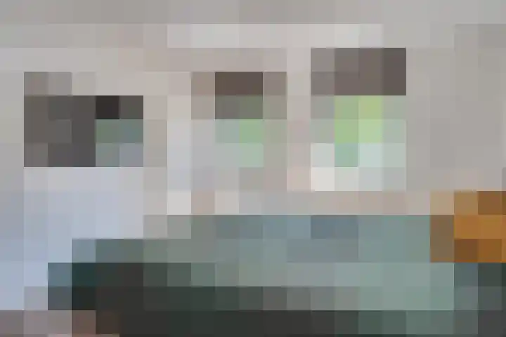 Vinkenweg 6 Deurne thumbnail 31