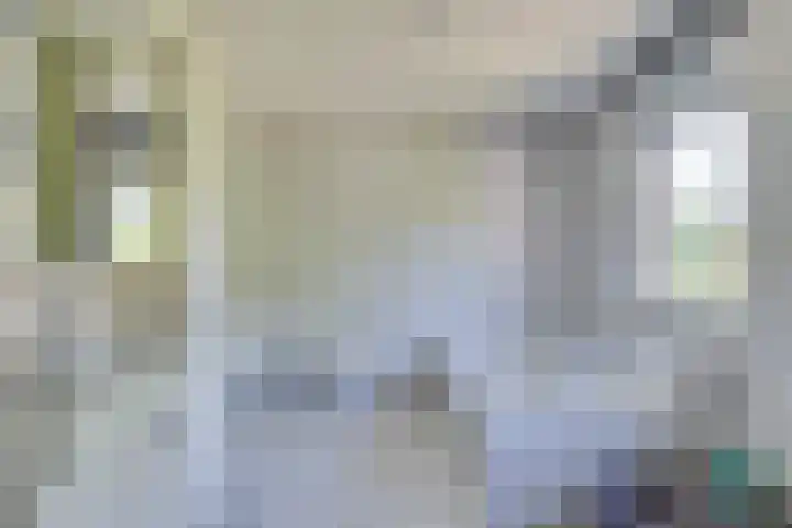 Vinkenweg 6 Deurne thumbnail 33