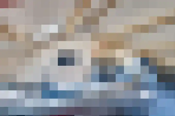 Vinkenweg 6 Deurne thumbnail 37