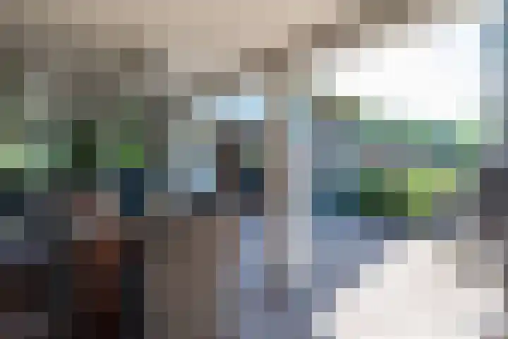 Vinkenweg 6 Deurne thumbnail 40