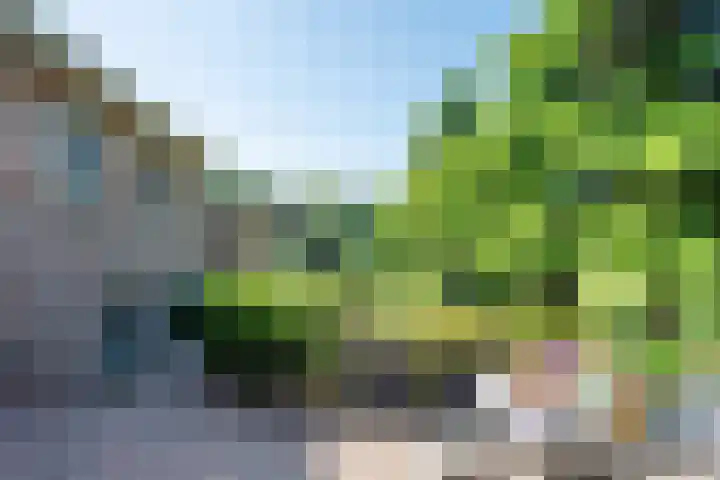Vinkenweg 6 Deurne thumbnail 41