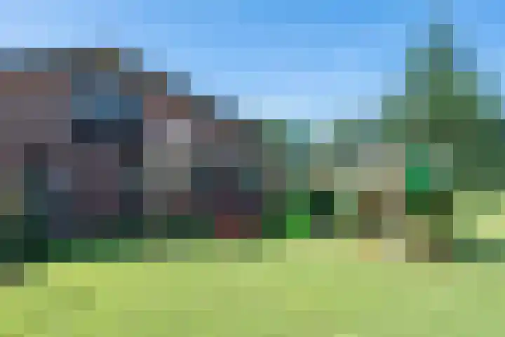 Vinkenweg 6 Deurne thumbnail 43