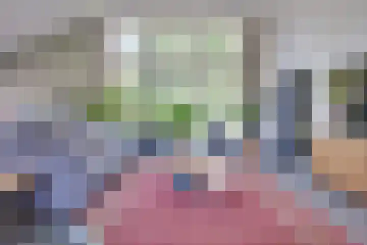 Vinkenweg 6 Deurne thumbnail 48