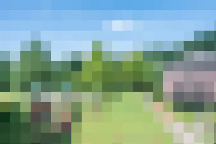 Vinkenweg 6 Deurne thumbnail 5