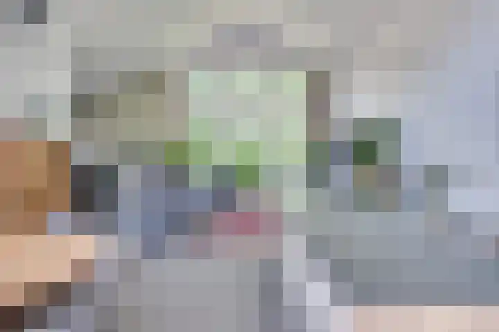 Vinkenweg 6 Deurne thumbnail 54