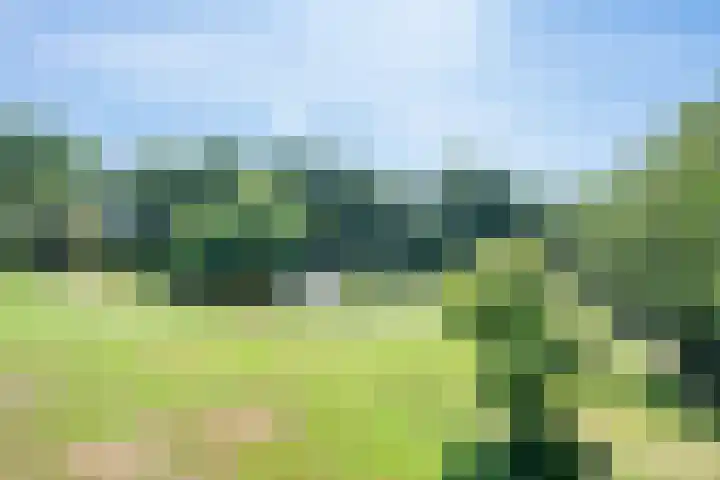 Vinkenweg 6 Deurne thumbnail 6