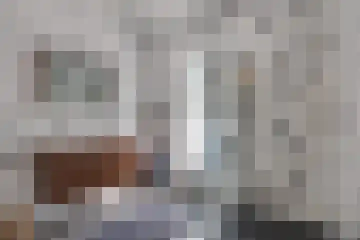 Vinkenweg 6 Deurne thumbnail 61