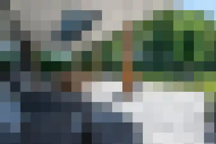 Vinkenweg 6 Deurne thumbnail 65