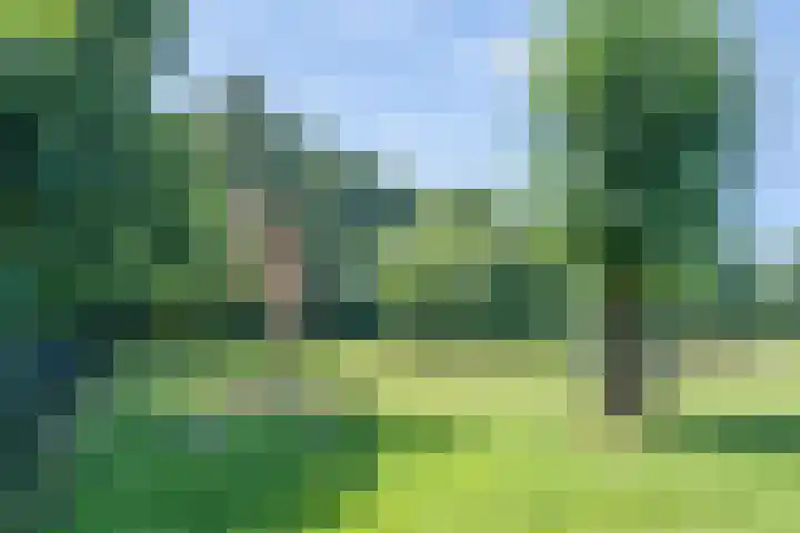 Vinkenweg 6 Deurne thumbnail 66