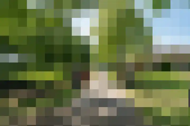 Vinkenweg 6 Deurne thumbnail 7