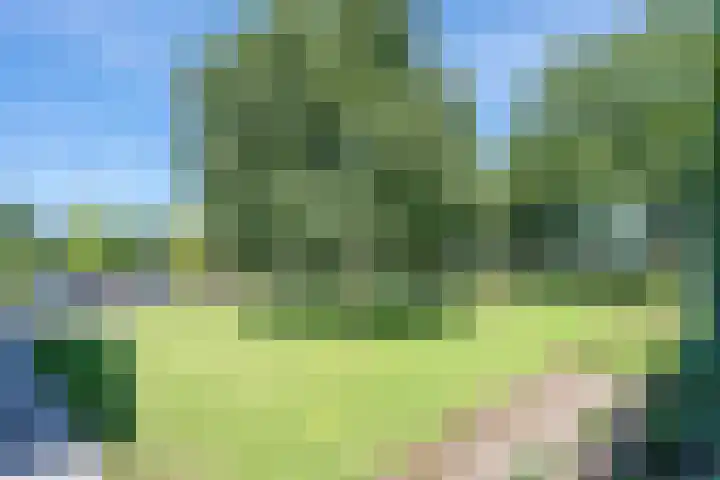 Vinkenweg 6 Deurne thumbnail 73