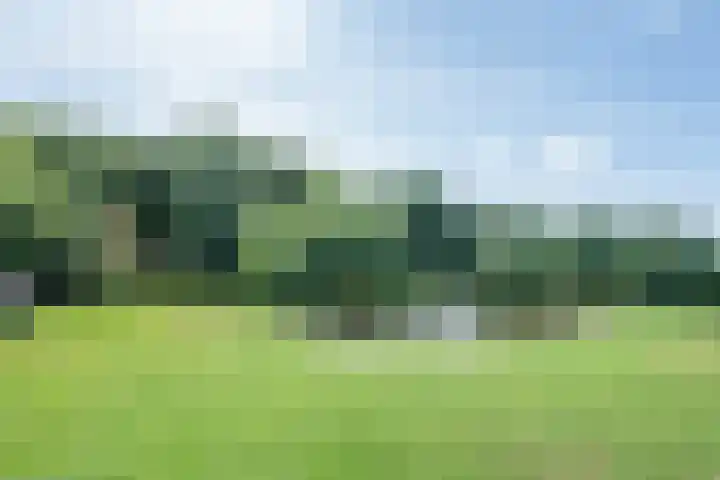 Vinkenweg 6 Deurne thumbnail 74