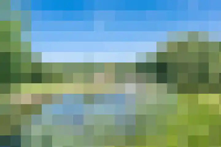 Vinkenweg 6 Deurne thumbnail 75