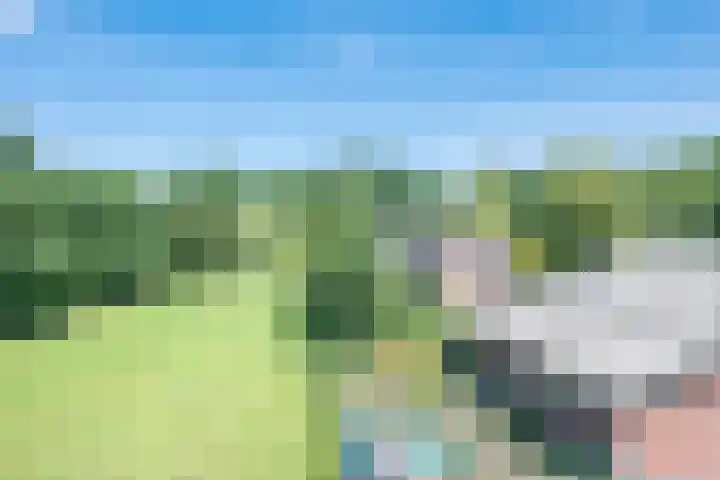 Vinkenweg 6 Deurne thumbnail 76