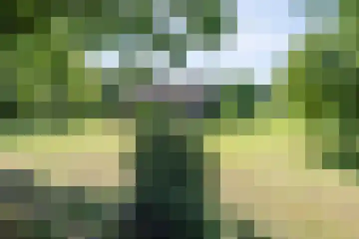 Vinkenweg 6 Deurne thumbnail 8