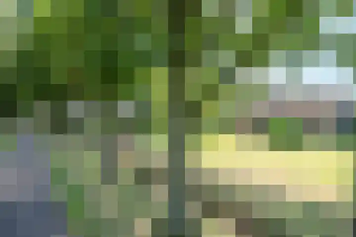Vinkenweg 6 Deurne thumbnail 9