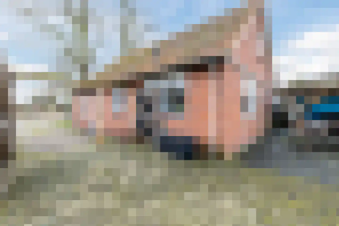 Vinkenweg 74 Westerhaar-Vriezenveensewijk thumbnail 36