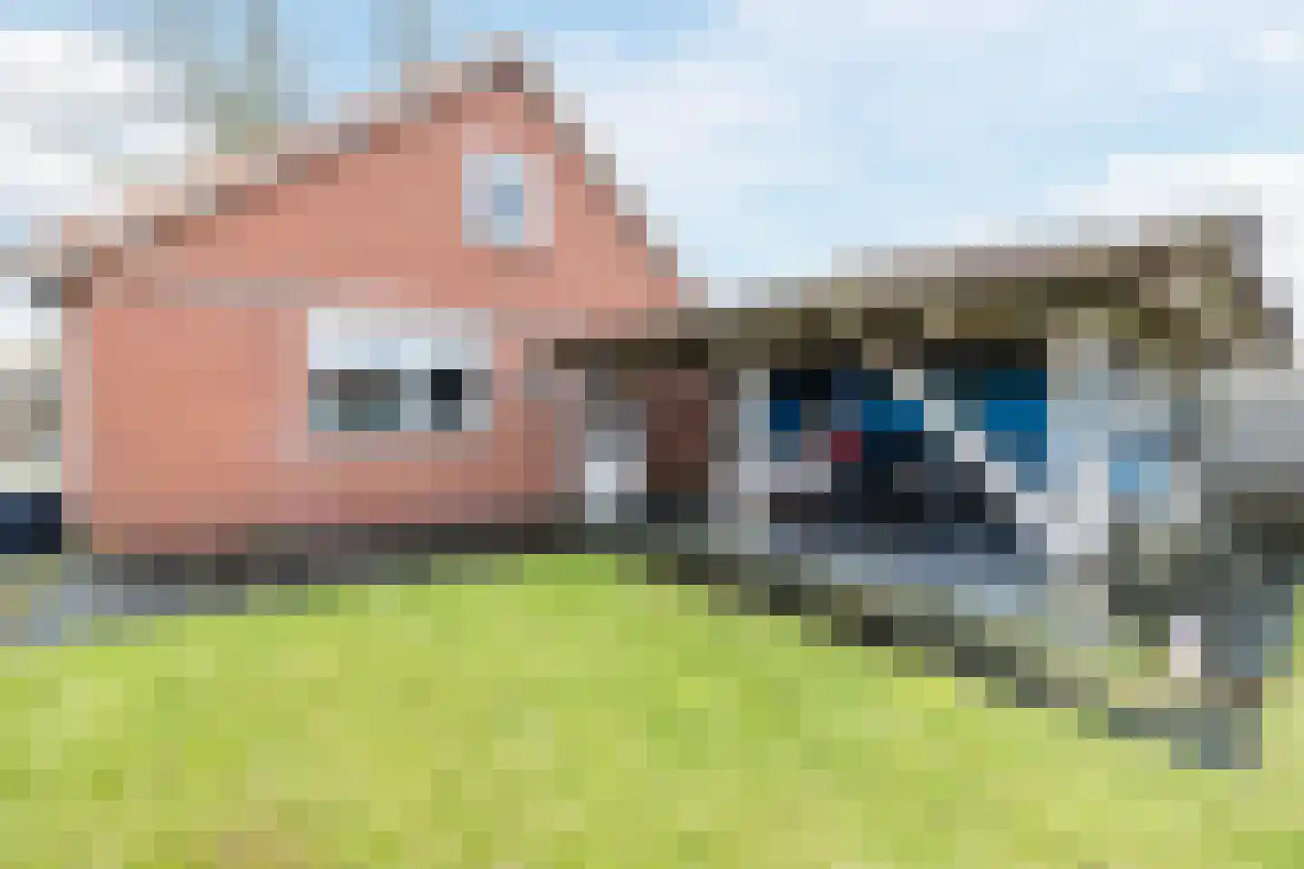 Vinkenweg 74 Westerhaar-Vriezenveensewijk thumbnail 40