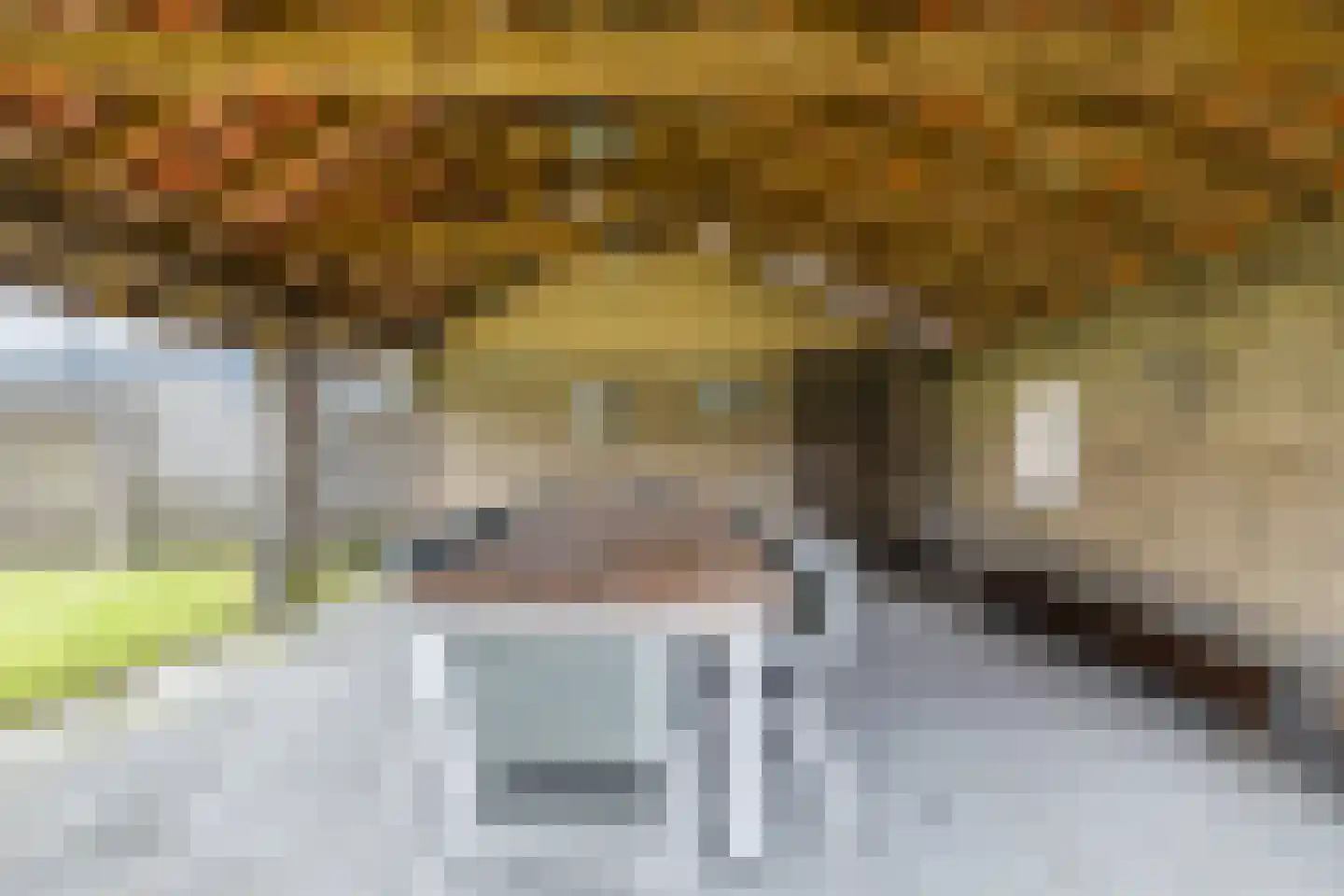 Vinkenweg 74 Westerhaar-Vriezenveensewijk thumbnail 48