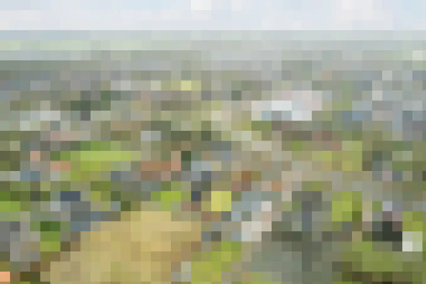 Vinkenweg 74 Westerhaar-Vriezenveensewijk thumbnail 57