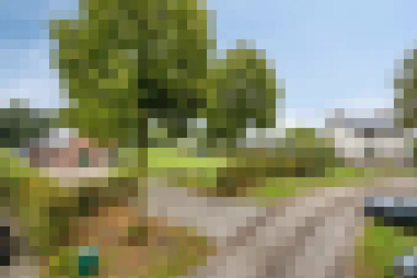 Vinkepas 3 a Sevenum thumbnail 14