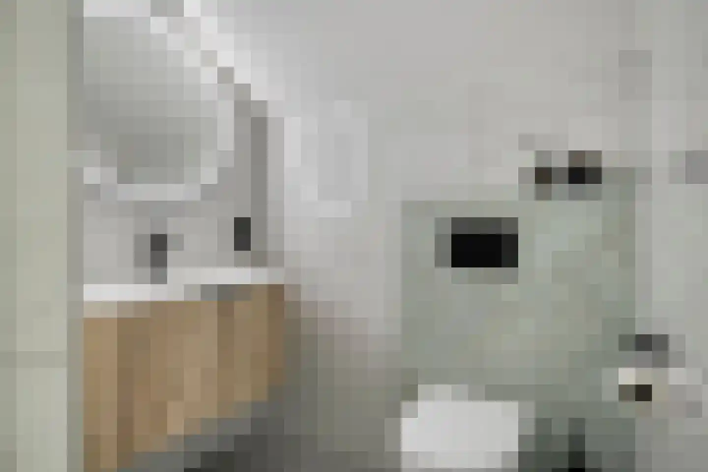 Vinkepas 3 a Sevenum thumbnail 34