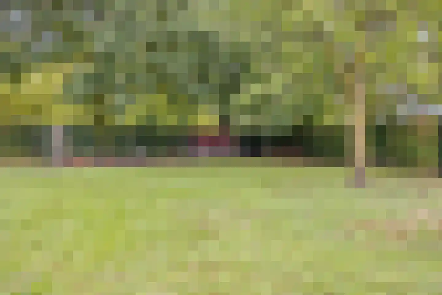 Vinkepas 3 a Sevenum thumbnail 48