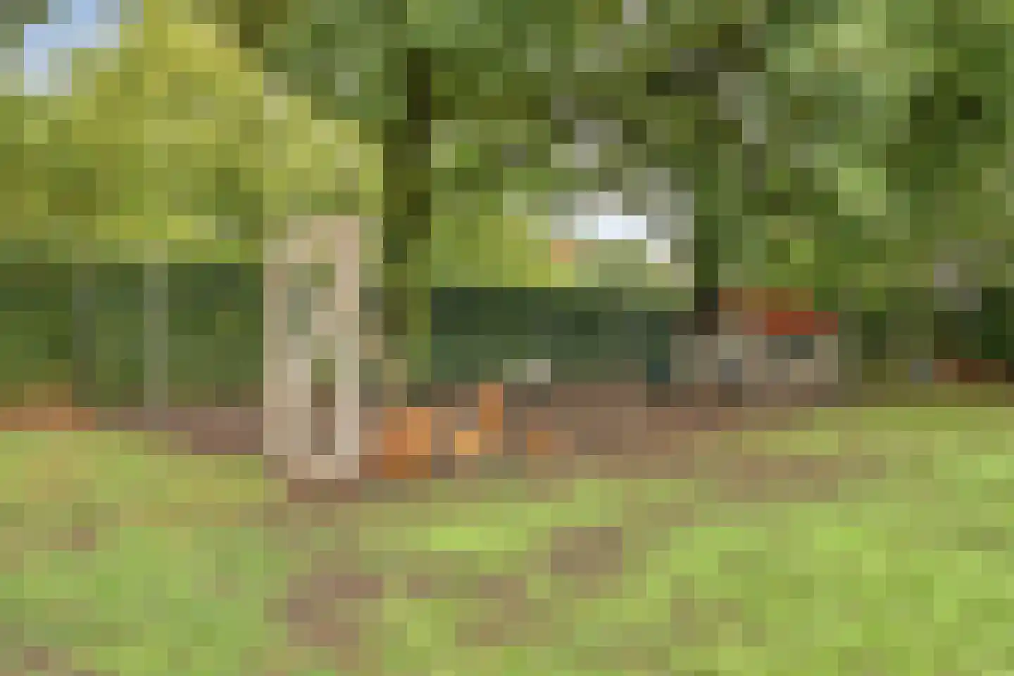 Vinkepas 3 a Sevenum thumbnail 49