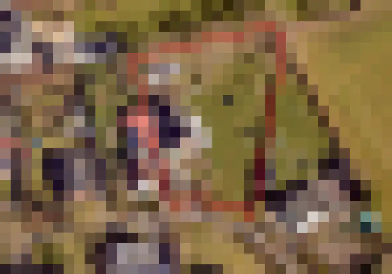 Vinkepas 3 a Sevenum thumbnail 5
