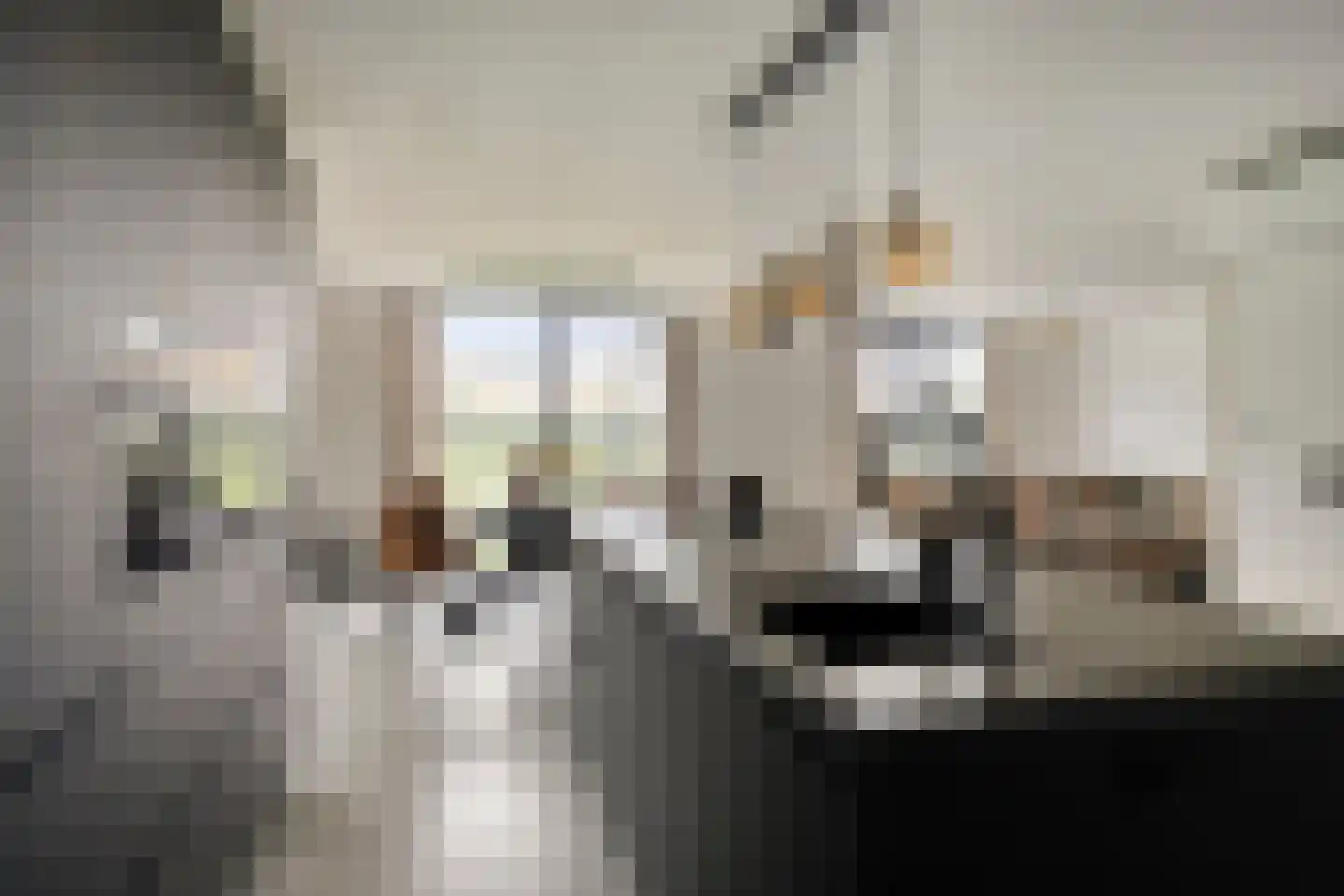 Vinkepas Sevenum thumbnail 26