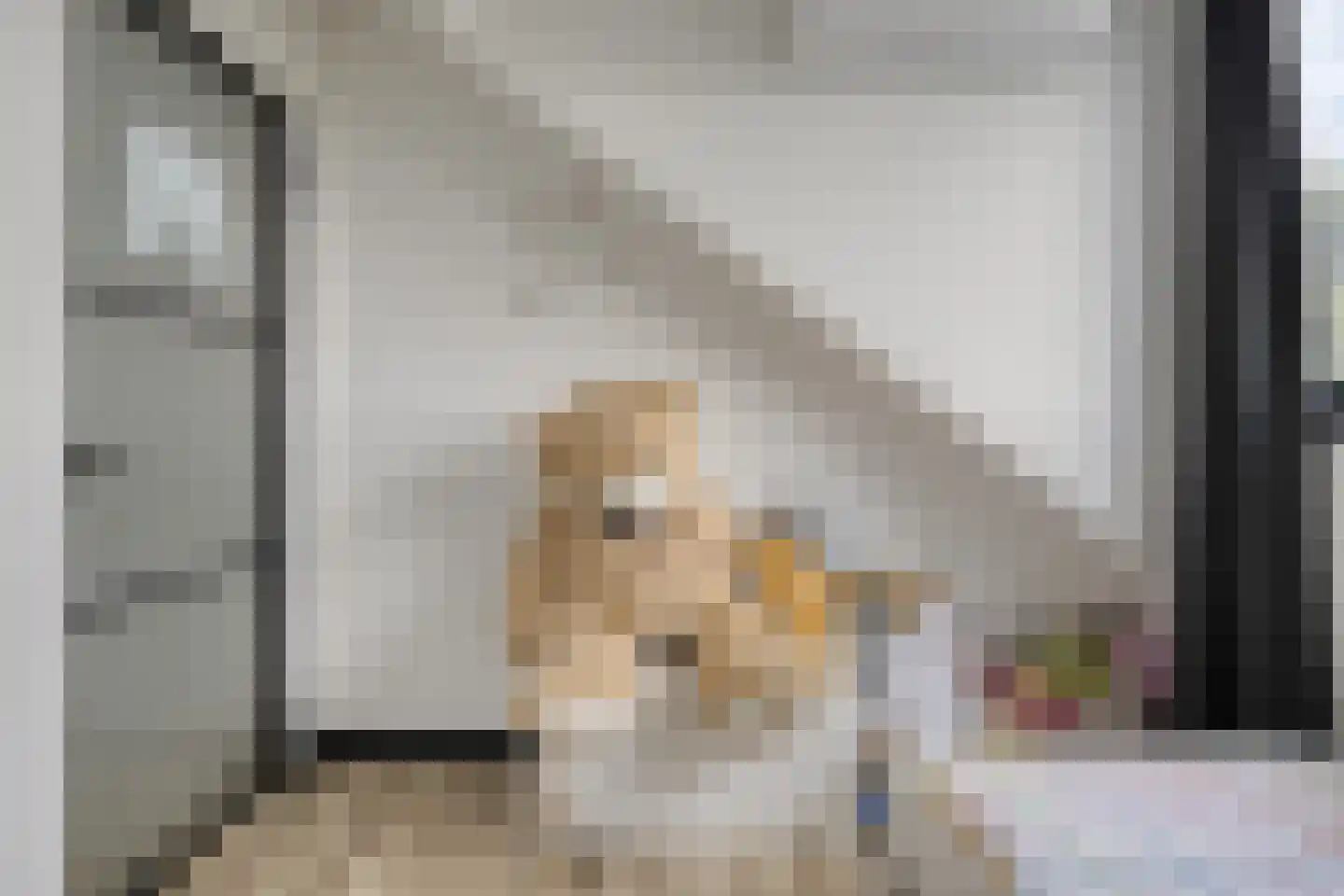 Vinkepas Sevenum thumbnail 39