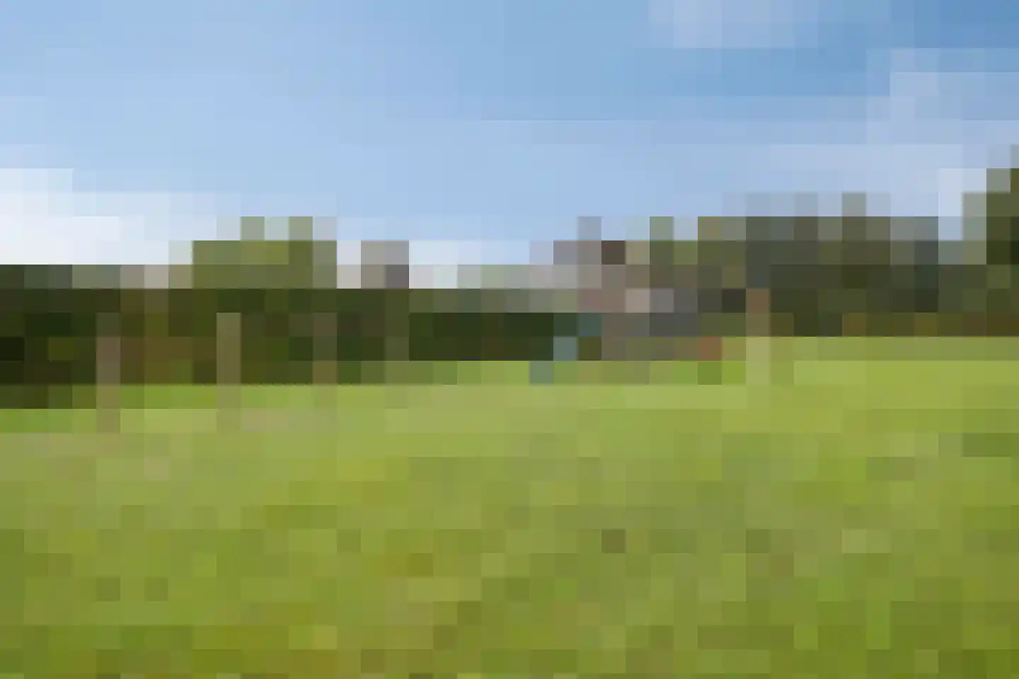 Vinkepas Sevenum thumbnail 46