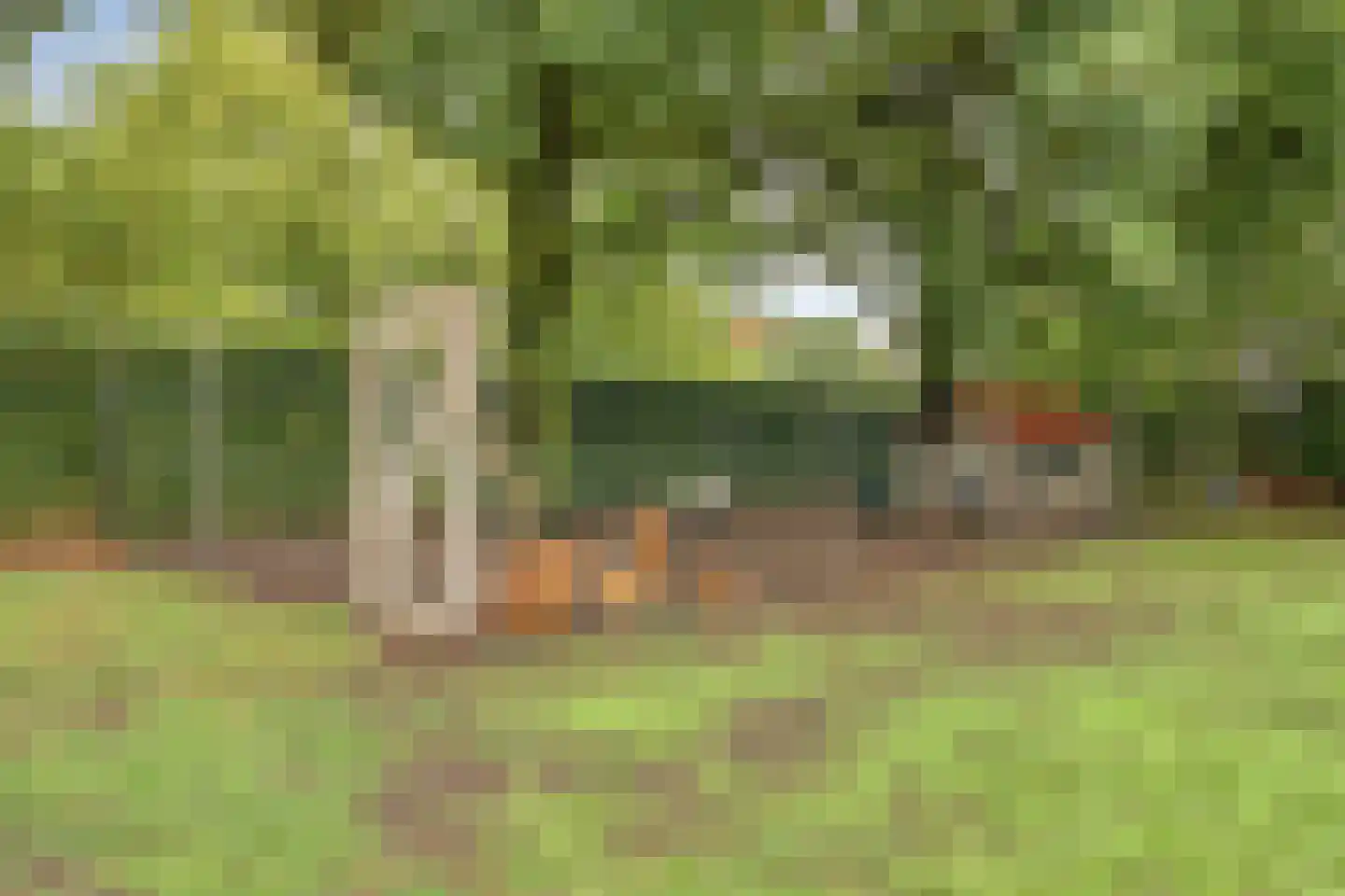 Vinkepas Sevenum thumbnail 49