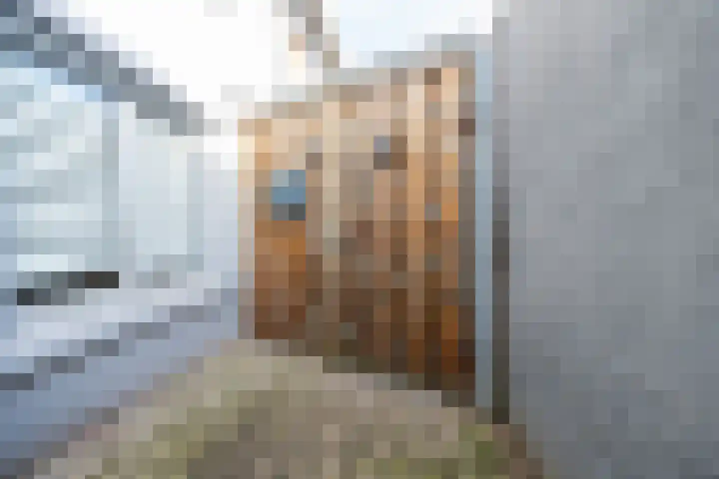 Vinkerstraat 24 Kerkrade thumbnail 22