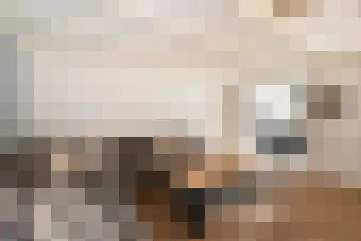 Vinkerstraat 24 Kerkrade thumbnail 5