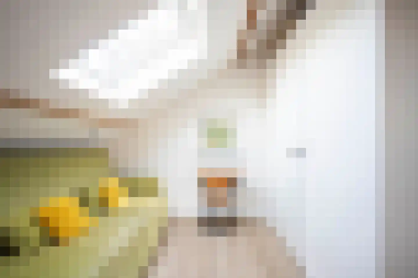 Vinkerstraat 45 Kerkrade thumbnail 33
