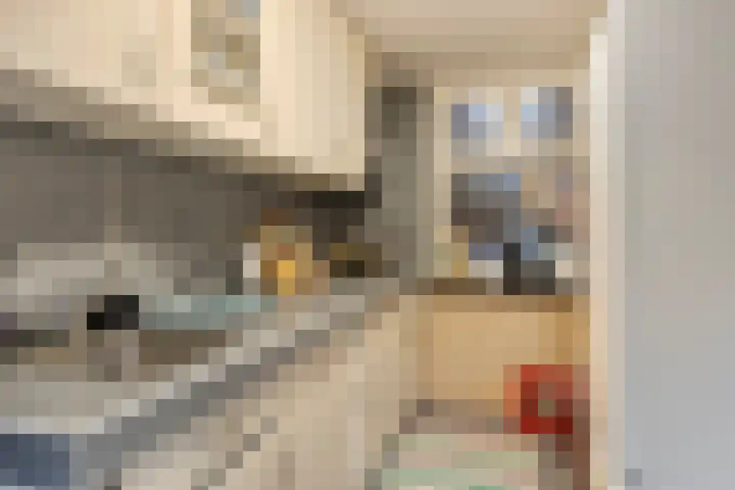 Vinkerstraat 80 Kerkrade thumbnail 17