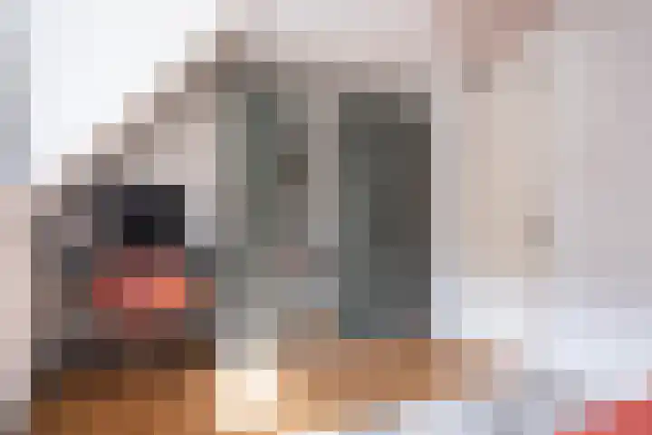 Vinkertlaan 4 Utrecht thumbnail 22