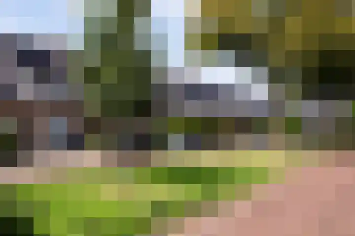 Vinkertlaan 4 Utrecht thumbnail 6