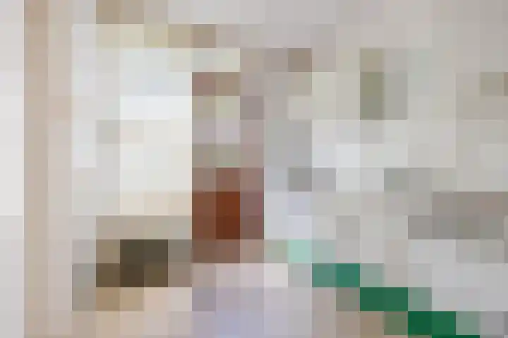 Vinkeslag 4 Boskoop thumbnail 11