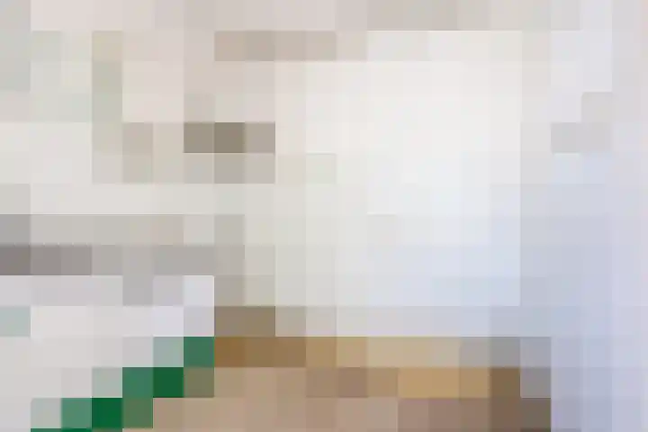 Vinkeslag 4 Boskoop thumbnail 13