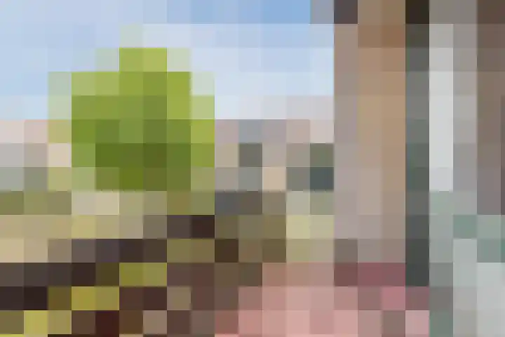 Vinkeslag 4 Boskoop thumbnail 27