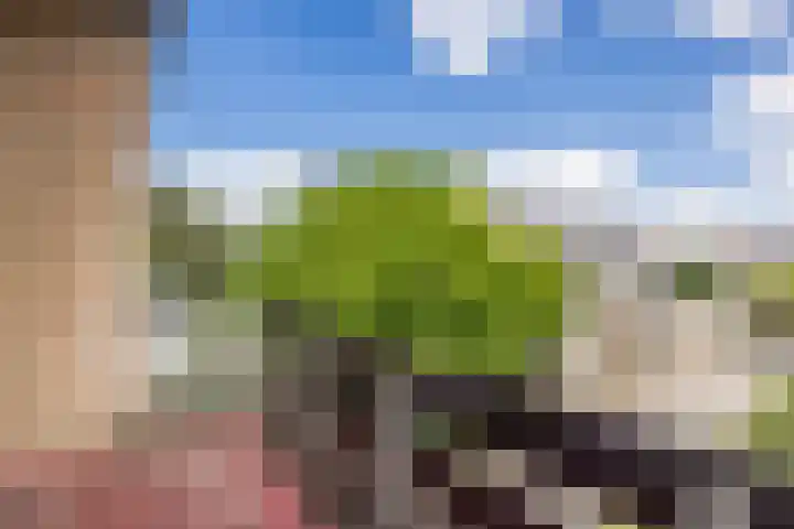 Vinkeslag 4 Boskoop thumbnail 28