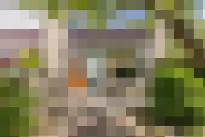 Vinkeslag 4 Boskoop thumbnail 32